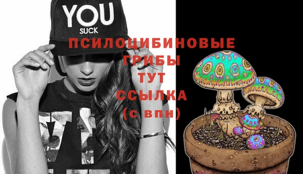 spice Белокуриха