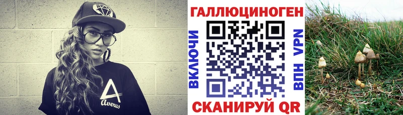 Псилоцибиновые грибы MAGIC MUSHROOMS купить Козловка