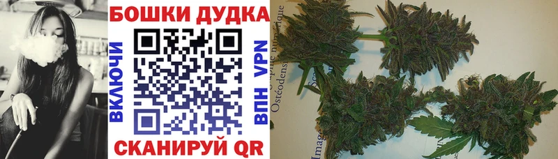 Конопля Ganja  Козловка 